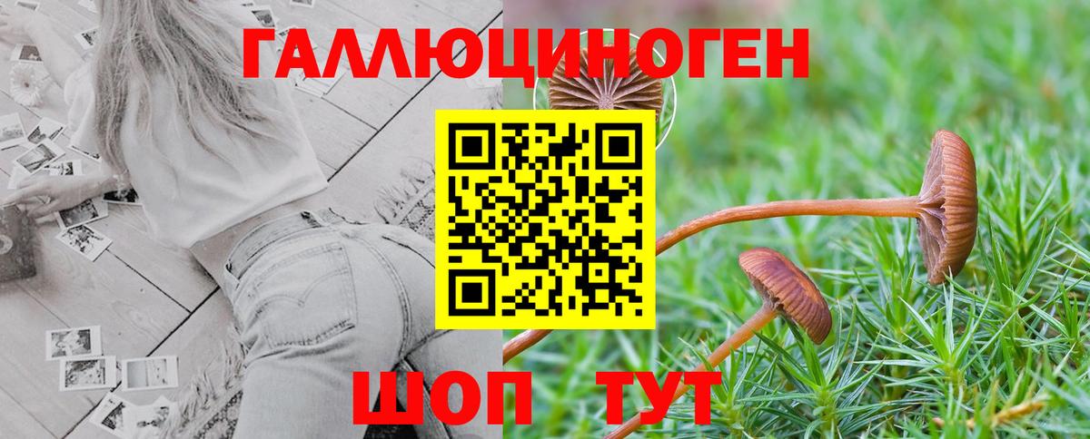 Галлюциногенные грибы Psilocybe  Вход с VPN  Галлюциногенные грибы MAGIC MUSHROOMS  где можно купить наркотик  Магадан 